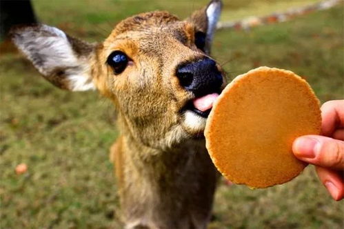 名字里的那些小心机