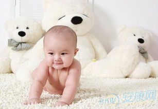 属鼠的朱姓宝宝：机智勇敢的小机灵鬼