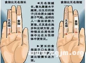 （二）食指：权力欲望与社会角色定位