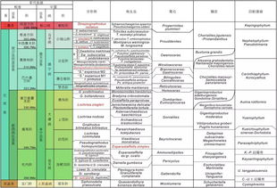 整体时间框架及基本信息概览