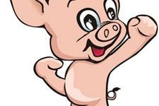 95年属猪人的性格特点和属相解析具体含义是什么？