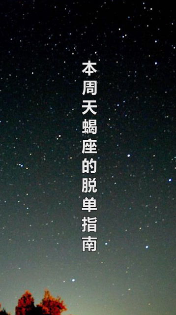 射手座：那个永远在路上的灵魂