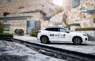 这个月为何两次遭遇追尾，风水小宗师能给出什么破解之道？