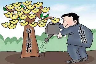 贷款阴影中的绝望
