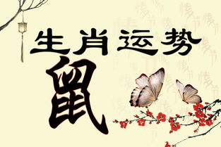 一、 字面含义的阐释与限定