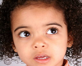 生肖文化：传统图腾象征与个性特质的深度耦合