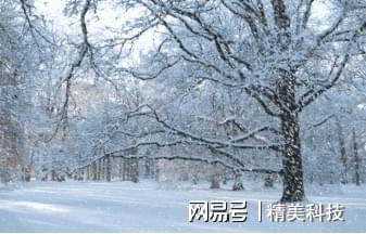 一、  核心思路：雪的意象与情感共鸣