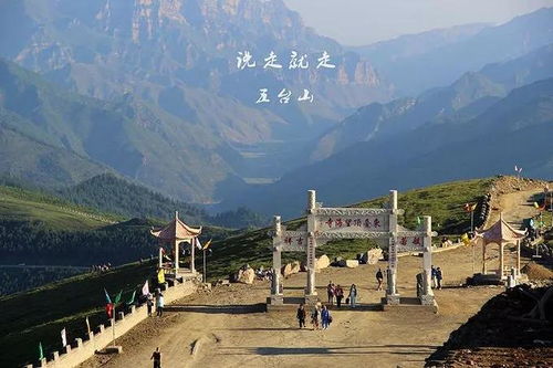 吃吃喝喝全是泪