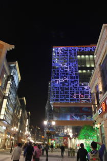 建筑美学与文化空间布局的深度考量