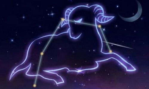 爱情运势：心跳加速预警！