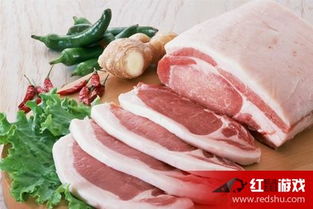 立冬后食用羊肉之养生保健功效——基于中医理论与现代化营养成分学的综合解析
