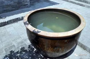 1. 方位选择：摆错位置要倒霉