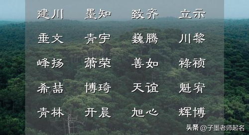 （1）带有金字旁的名字