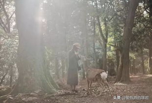三、 状语修饰与句式拓展：重构叙事逻辑