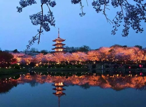 #沙场水库钓鱼区#：