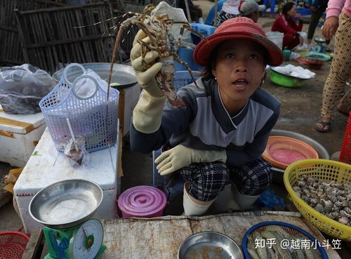 三、 海陆丰市场——淡水与咸水的奇怪交叉点