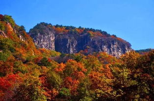 吃饭喝水——抢钱也没这么快