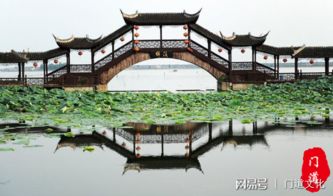 锦溪古镇：一场惯与门票的史诗级纠葛