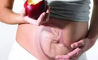 2.2  注意个体差异与潜在过敏