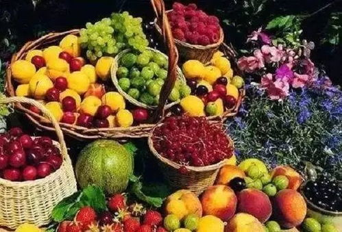 必吃美食（别指望好吃）