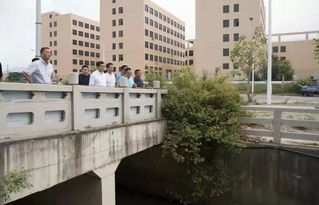 深入解析：厂区大门的地理环境考量