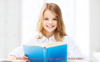 第四章：智慧之光——知性与才华的结合