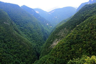 住宿：山上木屋vs山下农家乐， 选错等于白玩
