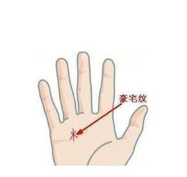 2. 微薄弱型黑子纹：中性变化波动与奋斗的必不可更少性