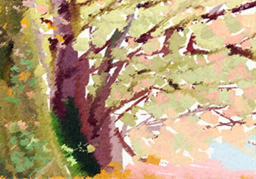 属龙的白羊女配对，这样的组合好吗，有没有什么需要注意的地方？