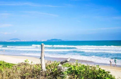 先说说我的感受吧