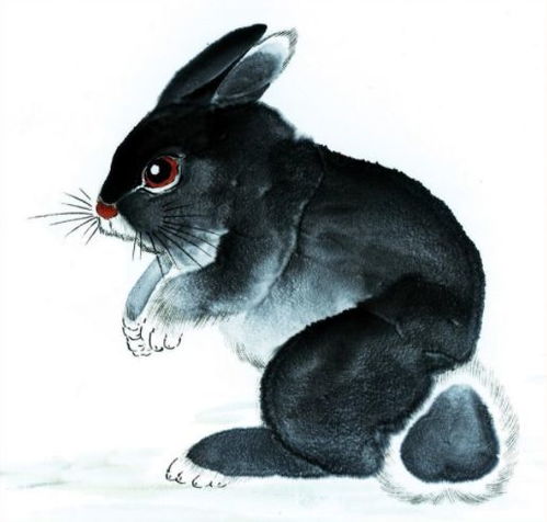 有没有寓意好的孙姓属兔男孩名字推荐？