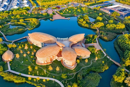 张掖湿地公园：鸟儿乐呵乐呵，人类被晒成烤鸭