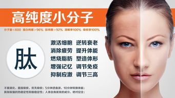 生肖鼠：机智聪慧与隐匿致敏源识别的重要性