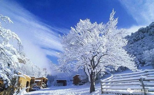 一、 梦见下雪的普遍心理学解读