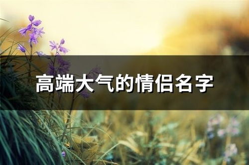 诗意词汇的运用：构建高雅氛围的基础