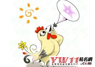 1993年属鸡的人如何调整运势以改善今年运势？