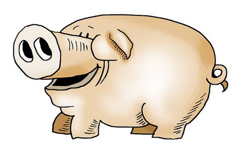 属猪的人12月有哪些结婚吉日？哪个月份最适合属猪人结婚？