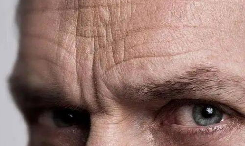 ：面相学视域下的长而方正脸型解析