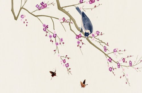 空间布局与柜台摆放的风水逻辑