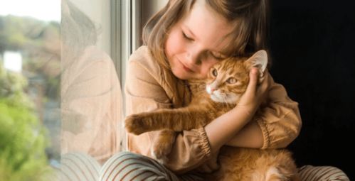 四、 行为教育与情感引导