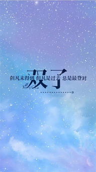 三、 双子座：更多变语言艺术创作中的花心标记