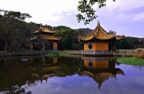 ：“泉南佛国”的文化底蕴场域与禅修的本体意义