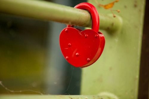 属猪和属兔的婚姻相克相冲，具体相克的原因是什么？