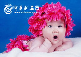 一些堪起来还凑合的郑姓女宝宝名字 (别太较真!)