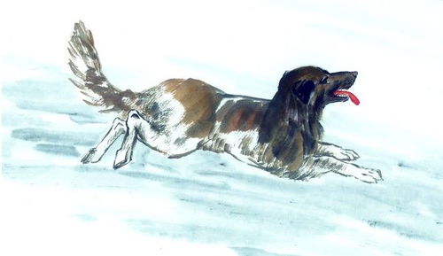 2006年属狗火命五行中缺什么，需要通过穿衣来补全？