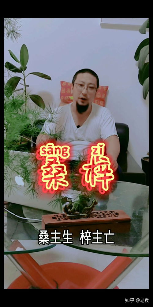 各种各样的搭配：堪堪哪些组合梗动人