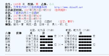 核心观点：心理安慰与焦虑缓解