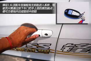 马（奔放豪迈）