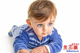 2）再来点奇葩——墨香、 荒煤之类