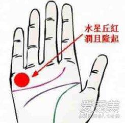 手相图解掌纹，如何全面解析掌纹大全？